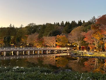 国営昭和記念公園 秋の夜散歩に投稿された画像（2024/11/25）