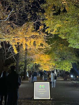 国営昭和記念公園 秋の夜散歩に投稿された画像（2024/11/25）