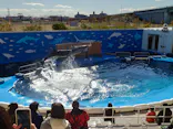 仙台うみの杜水族館に投稿された画像（2024/11/25）