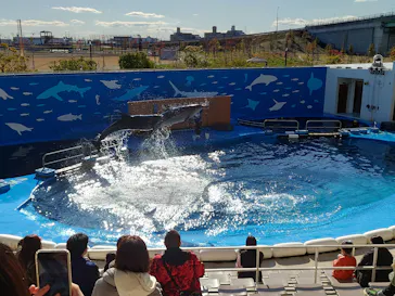 仙台うみの杜水族館に投稿された画像（2024/11/25）