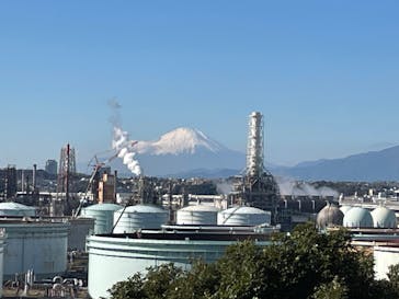 三溪園に投稿された画像（2024/11/25）