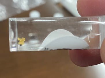 土肥金山に投稿された画像（2024/11/25）