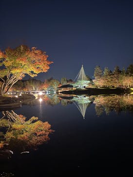 国営昭和記念公園 秋の夜散歩に投稿された画像（2024/11/25）