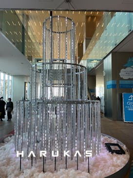 ハルカス300(展望台)に投稿された画像（2024/11/25）