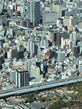 ハルカス300(展望台)に投稿された画像（2024/11/25）