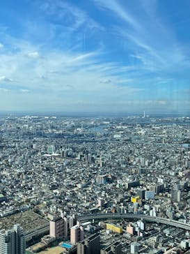 ハルカス300(展望台)に投稿された画像（2024/11/25）