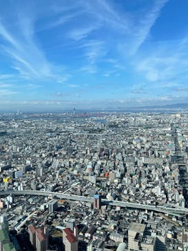 ハルカス300(展望台)に投稿された画像（2024/11/25）