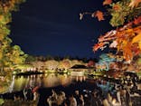 国営昭和記念公園 秋の夜散歩に投稿された画像（2024/11/25）