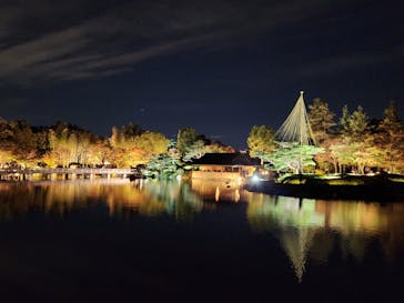 国営昭和記念公園 秋の夜散歩に投稿された画像（2024/11/25）