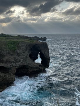 武藤潜水に投稿された画像（2024/11/25）