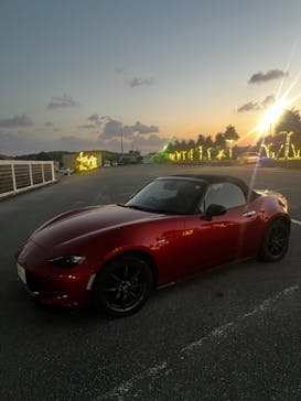 武藤潜水に投稿された画像（2024/11/25）