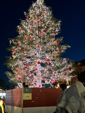 Christmas Market in 横浜赤レンガ倉庫 2025に投稿された画像（2024/11/25）
