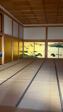 名古屋城に投稿された画像（2024/11/25）