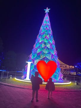 みろくの里に投稿された画像（2024/11/25）