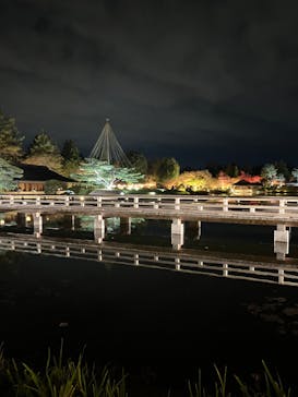 国営昭和記念公園 秋の夜散歩に投稿された画像（2024/11/25）