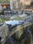伊豆シャボテン動物公園に投稿された画像（2024/11/25）
