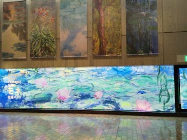 モネ 睡蓮のとき（国立西洋美術館）に投稿された画像（2024/11/25）