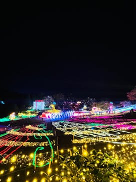 みろくの里に投稿された画像（2024/11/25）