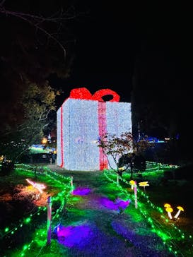 みろくの里に投稿された画像（2024/11/25）