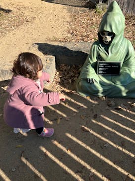 ニジゲンノモリに投稿された画像（2024/11/25）