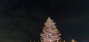 Christmas Market in 横浜赤レンガ倉庫 2025に投稿された画像（2024/11/25）