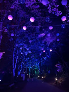 ムーミンバレーパークに投稿された画像（2024/11/25）