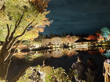 国営昭和記念公園 秋の夜散歩に投稿された画像（2024/11/25）