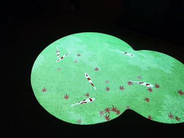 国営昭和記念公園 秋の夜散歩に投稿された画像（2024/11/25）