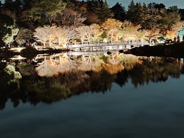 国営昭和記念公園 秋の夜散歩に投稿された画像（2024/11/25）