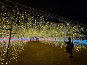 大阪城イルミナージュに投稿された画像（2024/11/25）