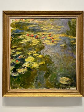 モネ 睡蓮のとき（国立西洋美術館）に投稿された画像（2024/11/25）