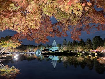 国営昭和記念公園 秋の夜散歩に投稿された画像（2024/11/25）