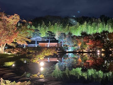 国営昭和記念公園 秋の夜散歩に投稿された画像（2024/11/25）