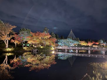国営昭和記念公園 秋の夜散歩に投稿された画像（2024/11/25）
