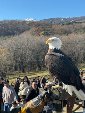 那須どうぶつ王国に投稿された画像（2024/11/25）
