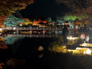 国営昭和記念公園 秋の夜散歩に投稿された画像（2024/11/25）