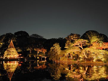 六義園に投稿された画像（2024/11/25）