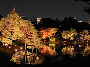 六義園に投稿された画像（2024/11/25）
