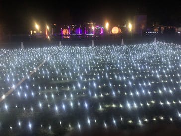 姫路城ライトアップイベント　鏡花水月　@姫路城三の丸広場に投稿された画像（2024/11/25）