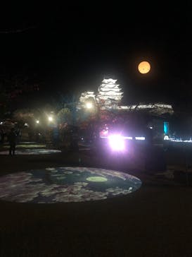 姫路城ライトアップイベント　鏡花水月　@姫路城三の丸広場に投稿された画像（2024/11/25）