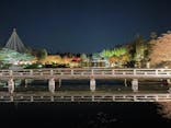 国営昭和記念公園 秋の夜散歩に投稿された画像（2024/11/26）
