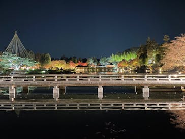国営昭和記念公園 秋の夜散歩に投稿された画像（2024/11/25）