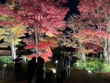 国営昭和記念公園 秋の夜散歩に投稿された画像（2024/11/25）