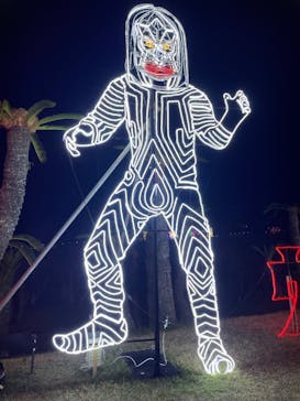 鹿児島イルミナージュに投稿された画像（2024/11/25）