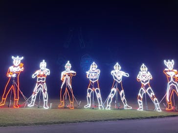 鹿児島イルミナージュに投稿された画像（2024/11/25）