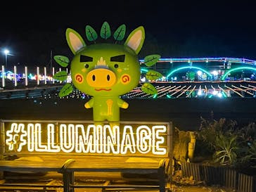 鹿児島イルミナージュに投稿された画像（2024/11/25）