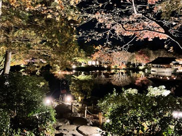 国営昭和記念公園 秋の夜散歩に投稿された画像（2024/11/25）