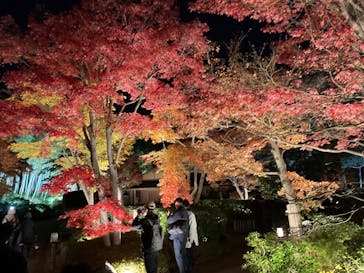 国営昭和記念公園 秋の夜散歩に投稿された画像（2024/11/25）