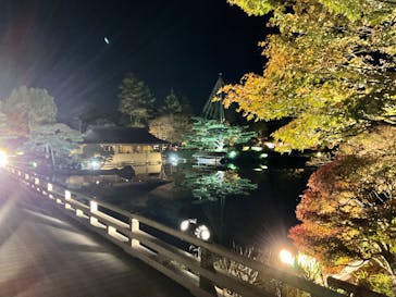国営昭和記念公園 秋の夜散歩に投稿された画像（2024/11/25）