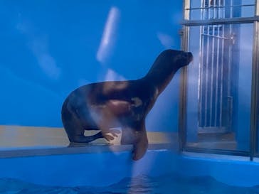 竹島水族館に投稿された画像（2024/11/25）